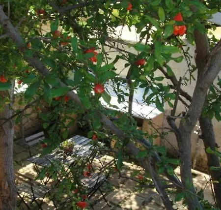 Il Giardino Di Petra 別荘